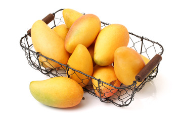 Mango on a white background