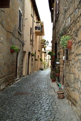 Colorful houses in the old medieval street in Italy - obrazy, fototapety, plakaty