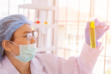 Fototapeta premium An Asian female scientist is researching a chemical formula in a lab.
