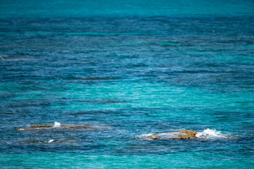 Obraz premium Cap blanc