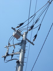電柱