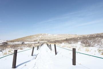 蝶々深山へ続く登山道