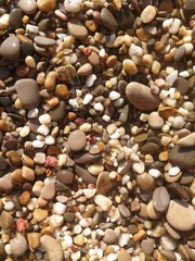 River stones sruned by jets of water. Close-up of small rock during drought