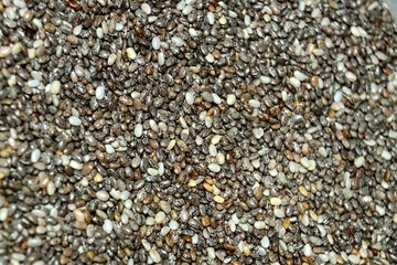 Chia Seeds Background Texture 