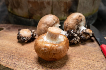 Cave brown champignon mushrooms ready to eat