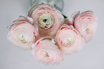 Pink Ranunculus. Romantic floral background for wedding and birthday invitations or greeting cards....