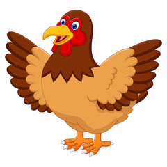 Chicken hen isolated on white background