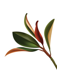 Tropical palm leaves, jungle leaf seamless vector floral pattern background