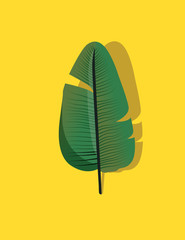 Tropical palm leaves, jungle leaf seamless vector floral pattern background