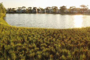 Landscape natural image of countryside view with outdoor park, freshness lake and small homes with reflection of bright summer twilight sky background.