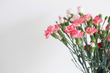 Bouquet of pink flowers on a white background