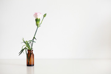 Minimalistic pink flower in a small brown glass vase on a white table