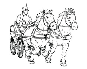 Drawing of Dutch draft horses with carriage.