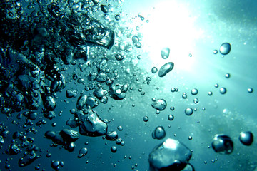 海　ダイビング　写真　