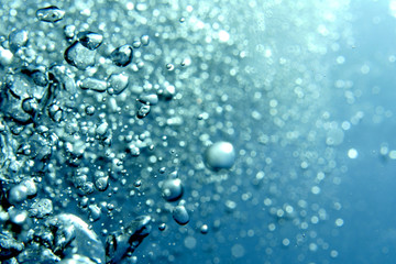 海　ダイビング　写真　