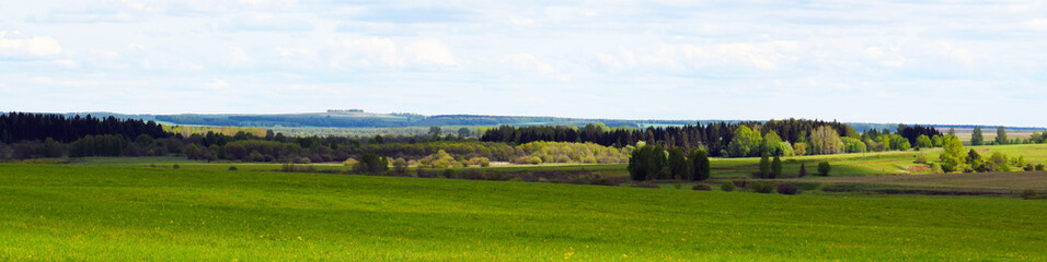 Fototapeta na wymiar green field and forest in the distance