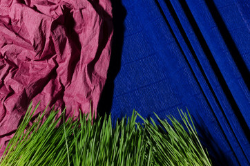 Top view of dark red and blue wapping paper and fresh green grass.Mixing different colors and...