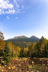 日本・北海道東部の国立公園、オンネトーと山