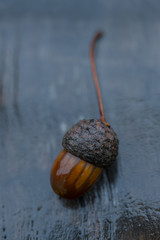 A single acorn with it's stem on a wooden background