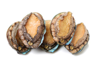 Raw abalones on the white background 