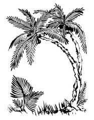 Fototapeta na wymiar tropical palm trees. Hand drawn. ink sketch. Black and white illustration