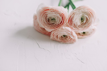 Pink Ranunculus. Romantic floral background for wedding invitations and greeting cards. Birthday, Wedding concept. Copy space