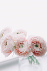 Pink Ranunculus in a vase. Romantic floral background for wedding invitations and greeting cards. Birthday, Wedding concept