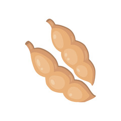Vector Soya pods and beans. Legumes sprouts cartoon flat illustration.