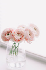 Pink Ranunculus in a vase. Romantic floral background for wedding invitations and greeting cards. Birthday, Wedding concept