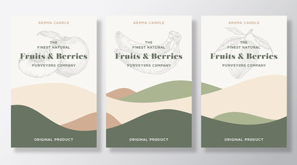 Aroma candle vector labels template collection. Fruits and berries scent from local purveyors advert design Sketch background layout with abstract waves decor Natural smell product package text space