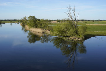 Havel, Flussaue