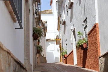 Fototapeta na wymiar andalucia españa jaen calle casas arquitectura poblado urbanismo