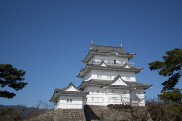 小田原城