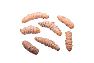 Corcuma isolated white background in studio