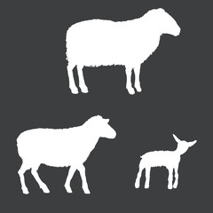 Vector White Silhouettes of Ram, Sheep and Lamp