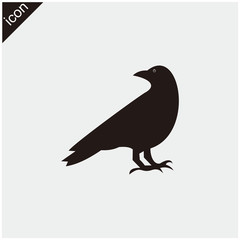 raven vector icon illustration sign