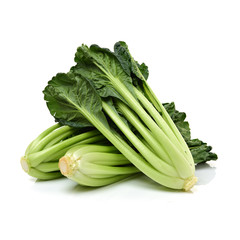 Fresh harvested Tah Tsai lettuce isolated on white. Tah Tsai or (Tatsoi) a commly used green leaf...