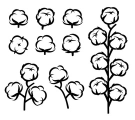 Cotton set. Collection cotton icons. Vector