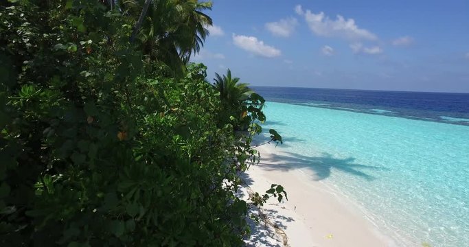 paradise beach with white sand and palm trees