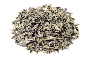 black fungus on white background