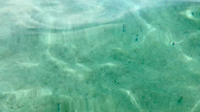 Shallow clear underwater background with white sand floor and sunlight ripples