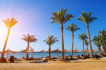 Tropical beach with deckchairs, umbrellas