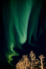 Aurora Borealis, Norilsk