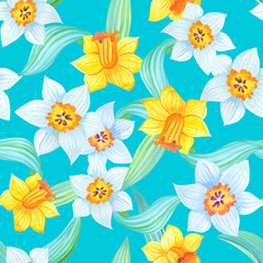Fototapeta na wymiar Spring illustration with yellow and white daffodils on blue background.Watercolor