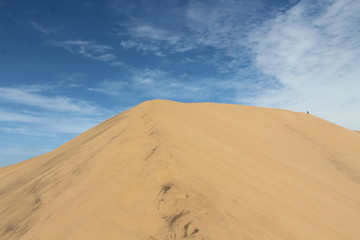 Fototapeta na wymiar Sand Dune, Namib Desert, Walvis Bay