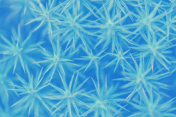 Abstract plant close-up macro background futuristic leaves