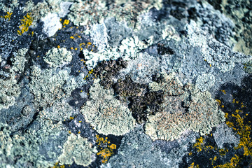 Rocks background close up another planet textures