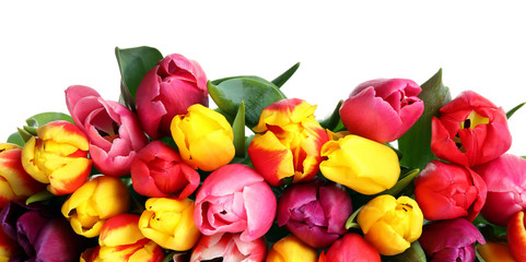 Obraz na płótnie Canvas Beautiful bright spring tulips on white background