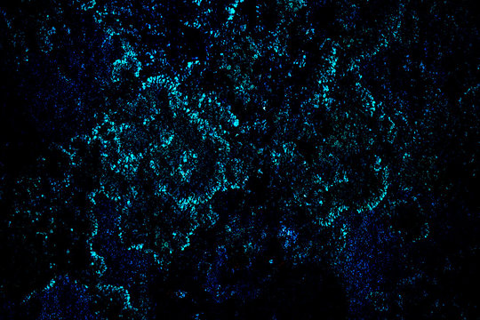 Rocks background close up another planet textures