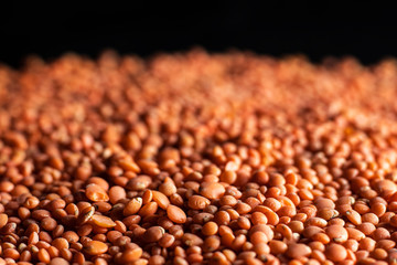 red lentils